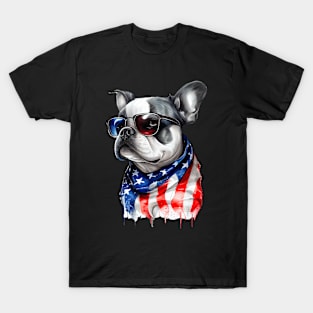 Independence Day Dog T-Shirt